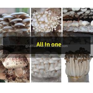 Industrial Mushroom Cultivation Substrate Bagger Filling Machine with Easy