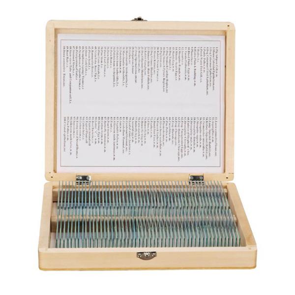 Buy Students 100PCS Shockproof Prepared Slides For Biology at wholesale prices