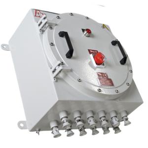 Explosion Proof Safeguard Your Facility with Flameproof Control Panels First