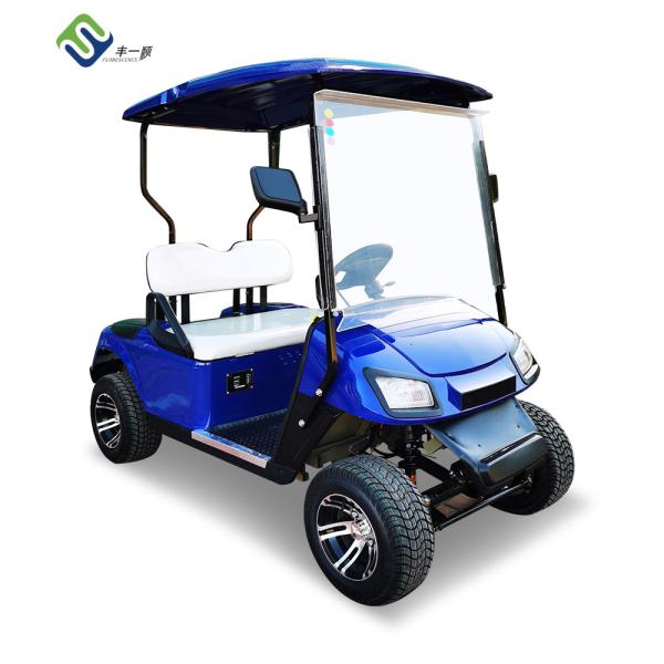 Buy Customized Blue Electric LSV Lithium Ion Golf Cart 2 Passenger at wholesale prices
