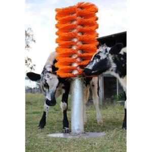 OEM Cattle Cow Scratching Brush Body Back Scratcher With Stand