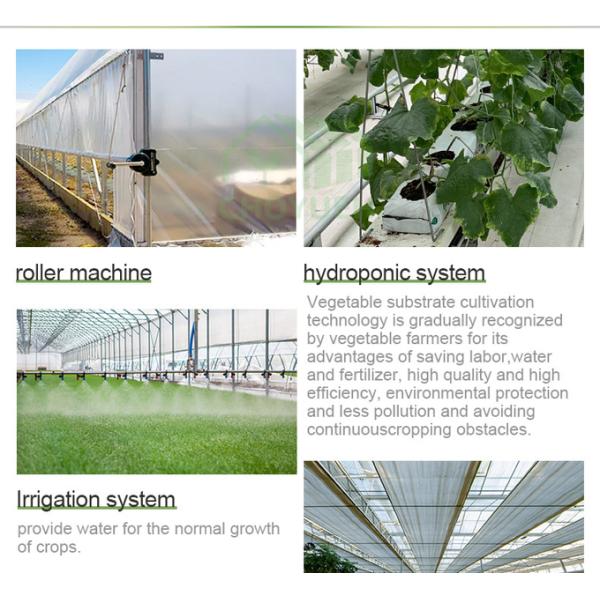 Plastic Film Tunnel Greenhouse Kit Width 6m 8m 9m For Growing Vegetables Flowers Fruits