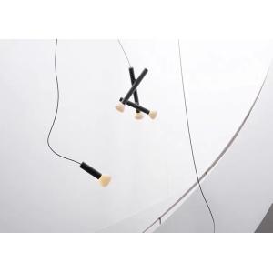 Fashion Contemporary Decorative Pendant Light Designer Chandelier Light Fixtures