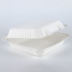 Takeaway box biodegradable disposable food container 600ML lunch box