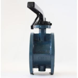 EN593 Hydraulic Ubber Seated Cast Iron Butterfly Valves