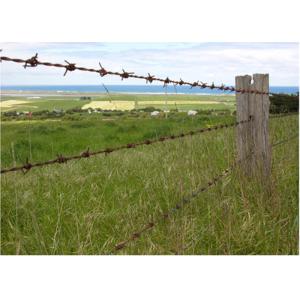 Quality High Tension Double Twist 10 KG Galvanzied Bared Wire 14# Diameter for sale