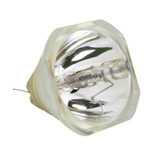 215Watt 54X54mm Epson Projector Bulbs ELPLP90 for Business