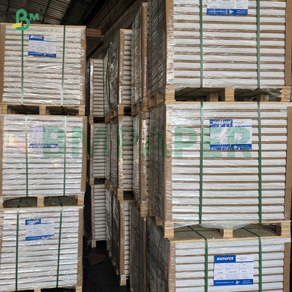24 X 36'' 300g White One Side Coated Triplex Paper For packing