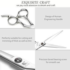 5.5 Inch Stainless Steel Hair Cutting Scissors Sharp Blade Tip UFO Screws