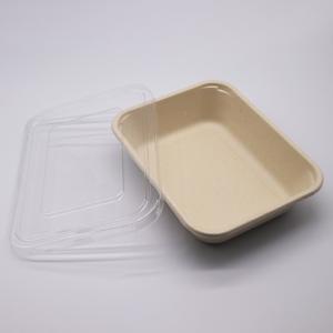 disposable lunch tray compostable sugarcane bassage serving trays