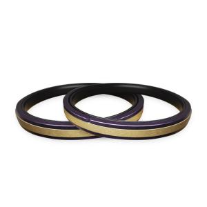 China SPGW Hydraulic Cylinder Piston Rings Excavator Coffee PTFE Spgw Piston Seal on sale