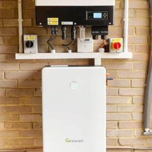 Cycle Life 6000 95% DoD GBLI6532 Growatt Lithium Battery with Built-in BMS