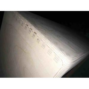 Professional Grand Overdrive Special ODS100 Guitar Amplifier Dumble Clone 100W