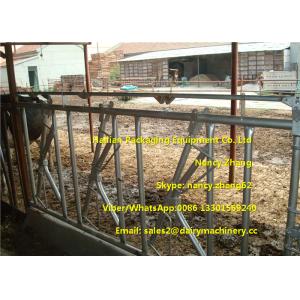 Farm Customized Cow Headlock / Cattle Feeding Panels Hot Dip Galvanizing Pipe