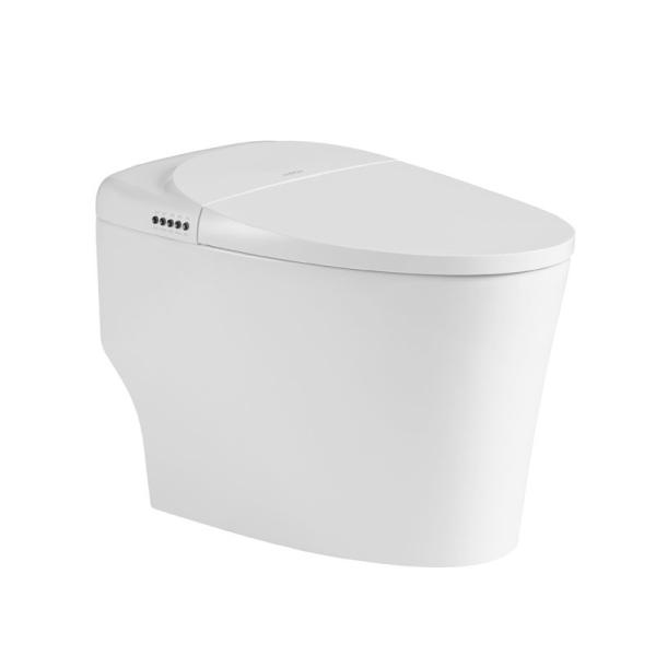 Buy Women Modern Smart Toilet Electric Automatic Flush Intelligent Closet WC at wholesale prices