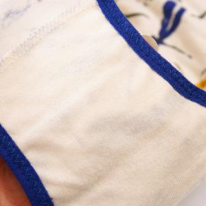 Indian Printing Lycra Cotton Young Girl xxx Panty Image