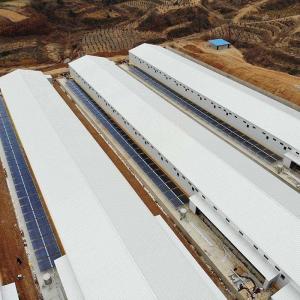Light Steel Structure Poultry Farming Structures Poultry House