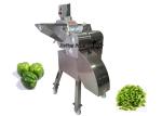 1500W Fruit Processing Equipment For Strawberry / Date / Mushroom / Pineapple
