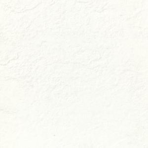 GradeAAA White Homogeneous Ceramic Floor Tile 600x600 10mm Thick with Rough