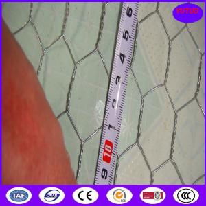 Quality Chicken Wire Mesh for Poultry or Agricultural Using for sale