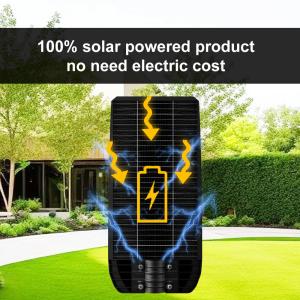 TR-CS High Lumen Brightness All In One Solar LED Street Light with Type C