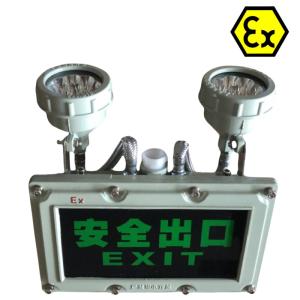 ATEX Safety LED Explosion-Proof Exit Light RoHS approved for hazardous Zone1