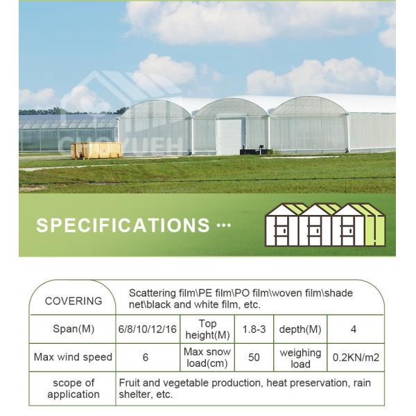 Wind Resistance Multi Span Plastic Film Tunnel Greenhouse With Ventilation System