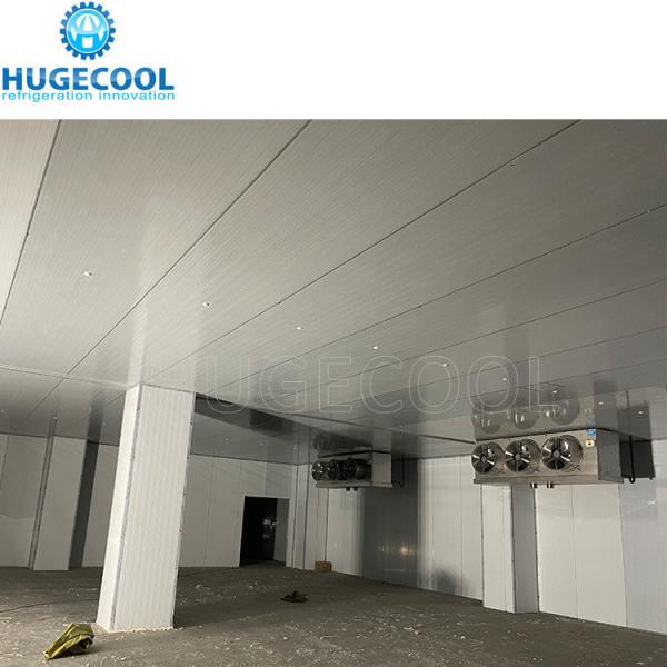 Buy Water Cooling Cold Storage Sliding Door with Special Platform and Freon Refrigerant at wholesale prices