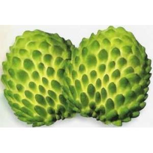 High Quality 100% pure natural 10:1 soursop leaves extract-Annona Muricata L.