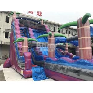 Purple Adult Kids Inflatable Water Slides With Pool ,