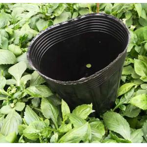Wholesale plastic soft pot cheap plant pot mini plant pot