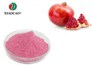 China No Pigment Additives Freeze Dried Powder Pomegranate Fruit Juice Powder on sale