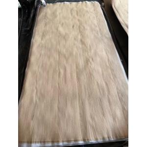Natural Sliced American White Oak Crown Cut Matching Veneer Sheet