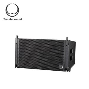 Quality 70Hz Disco Sound System Single 10'' Line Array Loudspeaker for sale