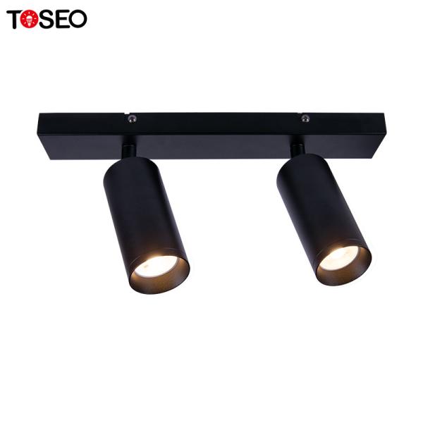 Buy IP20 Surface Mounted Adjustable Downlight Commercial Double Head Spotlight at wholesale prices