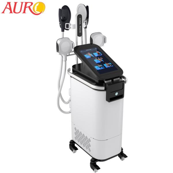 Buy Electromagnetic Electric Muscle Stimulator Machine Fat Reduction Body Fitness 3000W at wholesale prices