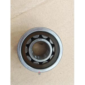 Wheel Bearing NTN Cylindrical Roller Bearings NJ2304 NJ2204 NJ304 20*52*21mm