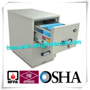 Waterproof Fire Resistant File Cabinets , Fire Safe File Cabinet With 2 Drawer