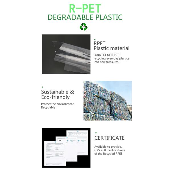 Hot Selling Clear Plastic Folding Packaging Boxes Full Color Printing RPET Box