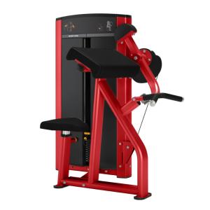 Unisex Biceps Machine for Gym and Home Use Strength Training Equipment With Pin