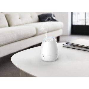 Home Appliance 100ml Ultrasonic Aroma Diffuser And Humidifier