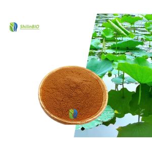 Quality 10% Nuciferine Herbal Extract Lotus Leaf Extract (CAS 475-83-2) Folium Nelumbinis Powder for sale