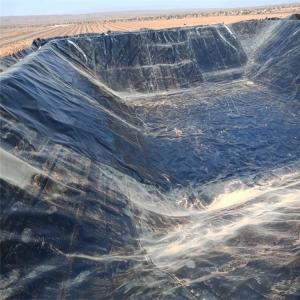 Chinese Design Style Water Pond Plastic Polyethylene Geomembrane Liner for Fish