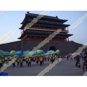 Fireproof Backpack Balloon