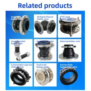 Switch PTFE Rubber Expansion Joint