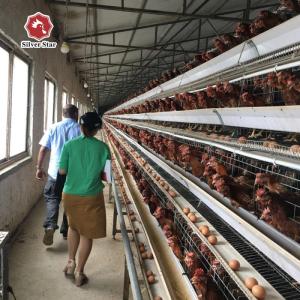 Automatic Poultry Farming Equipment Battery Cage For Laying Hens Battery Cage