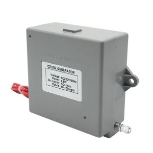 AC220V-AC110V-DC24V-DC12V Electrical Ozone Generator Parts for Longevity Ozone