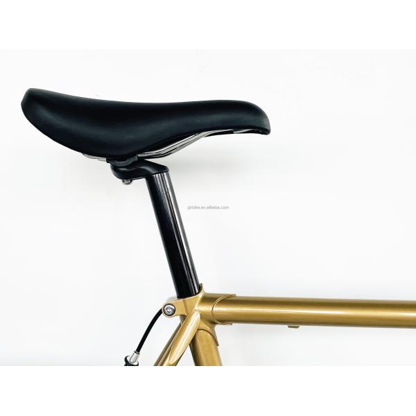OEM Color 700C Lugged Frame Fixie Gear Bicycle with Aluminium Parts and Steel Frame