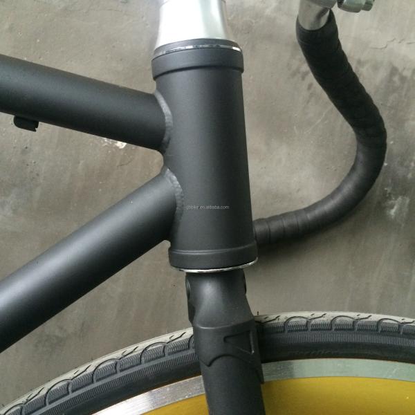 13kg Gross Weight Belt Drive Fixed Gear Bike with Hi-Ten Steel Frame and Style Design