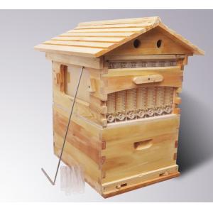 Beehive Apiculture Beekeeping Equipment Automatic Self Flowing for Beekeeping